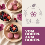 Kreislauf des Palmblatts: gesammelt, gereinigt, gepresst, gedeckt, kompostiert